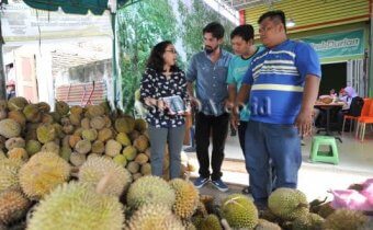 usaha ucok durian