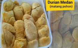 durian medan