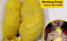 durian montong parigi